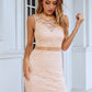Sleeveless Zip-Back Lace Mini Dress